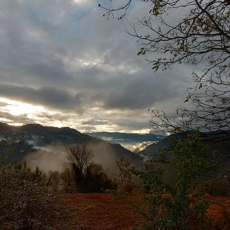 Thakur Homes- Couple And Family Friendly Homestay Shimla Zewnętrze zdjęcie