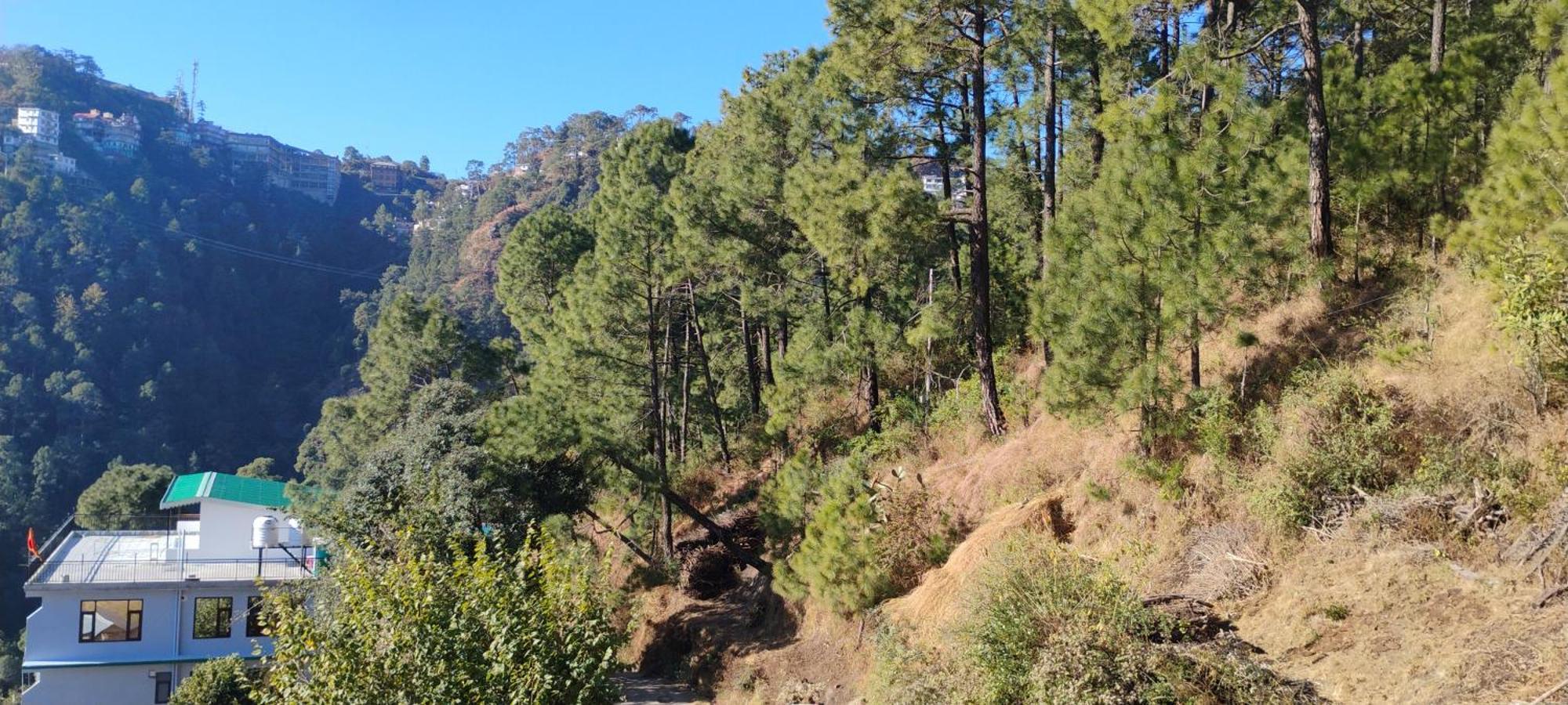 Thakur Homes- Couple And Family Friendly Homestay Shimla Zewnętrze zdjęcie