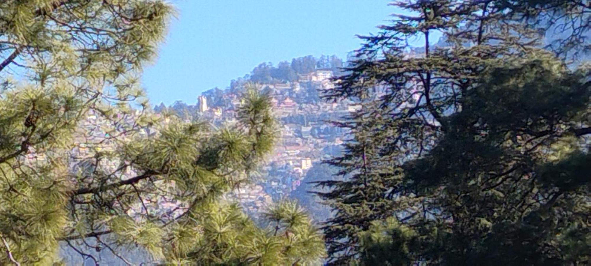 Thakur Homes- Couple And Family Friendly Homestay Shimla Zewnętrze zdjęcie