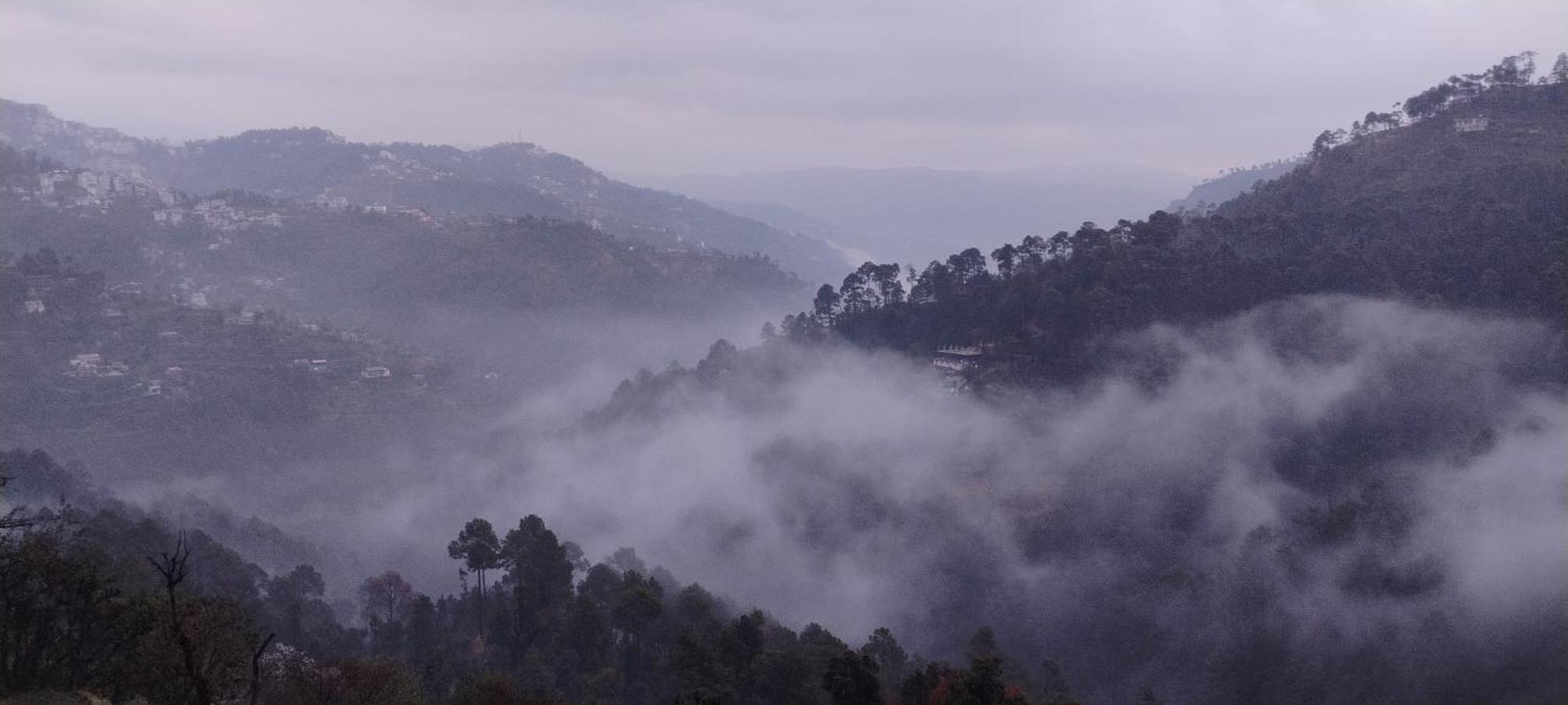 Thakur Homes- Couple And Family Friendly Homestay Shimla Zewnętrze zdjęcie